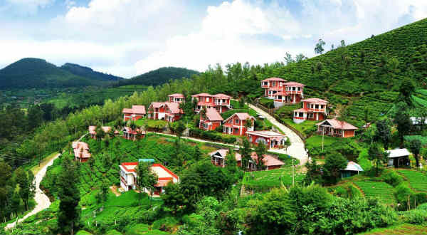 Ooty